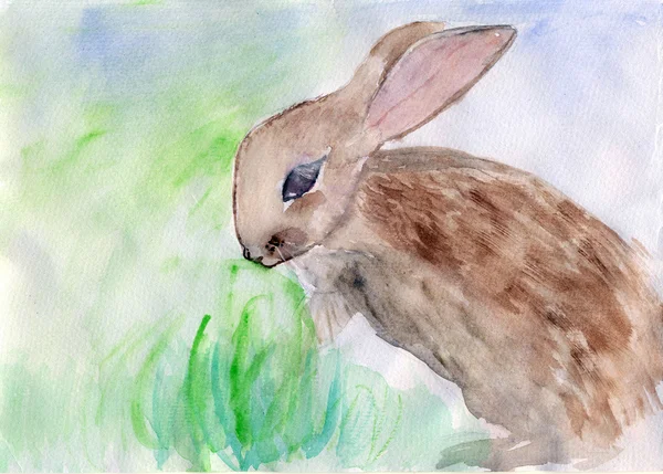 Conejo, ilustración de acuarela — Foto de Stock