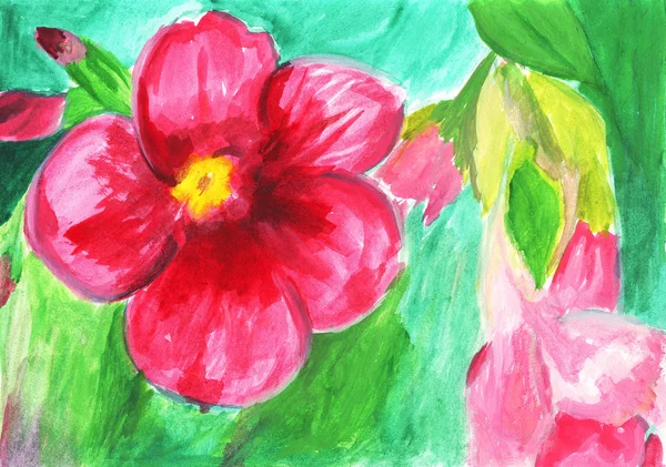 Roze bloemen, gouache illustratie — Stockfoto