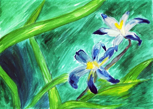 蓝色的花朵水彩插画 — 图库照片