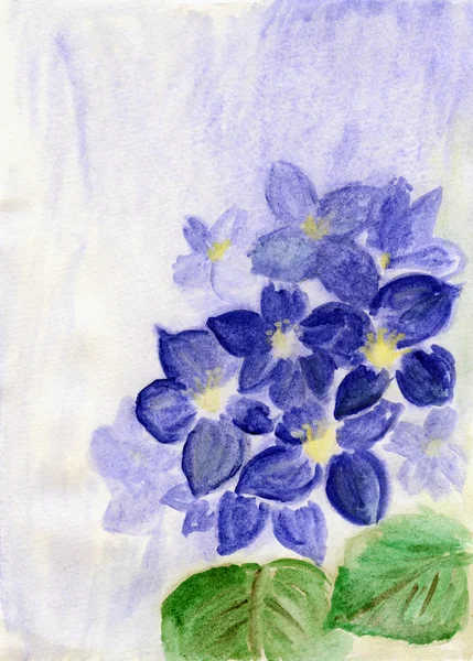 Flores azuis, ilustração aquarela — Fotografia de Stock