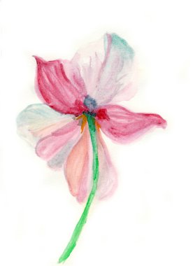Pembe çiçek, suluboya resim
