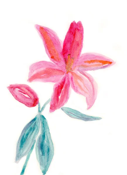 Fleurs de lys, illustration aquarelle — Photo