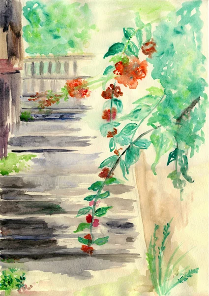 Étapes avec des fleurs rouges, illustration aquarelle — Photo