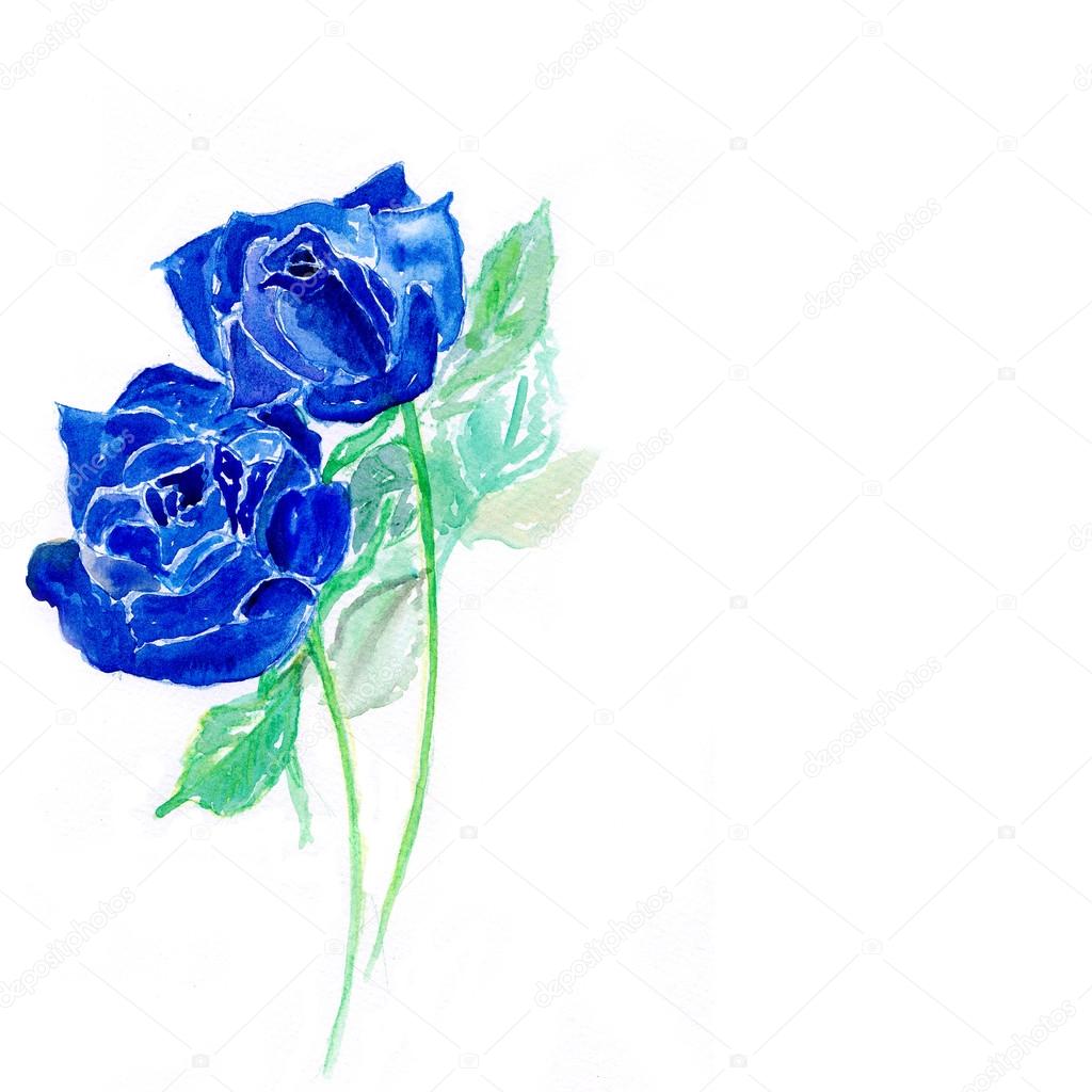 最新青い 薔薇 イラスト 動物ゾーン 最新青い 薔薇 イラスト 動物ゾーン