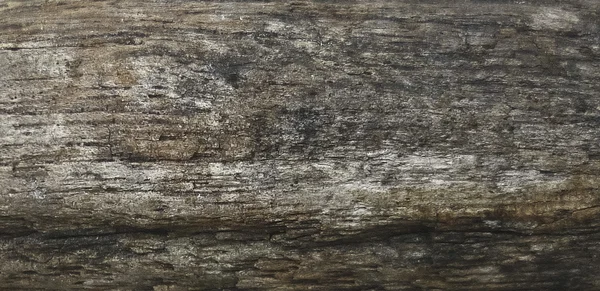 Поврежденная текстура дерева — стоковое фото