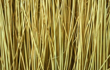 sazlık arka plan dokusu