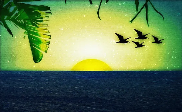 Puesta de sol con aves y palmeras —  Fotos de Stock