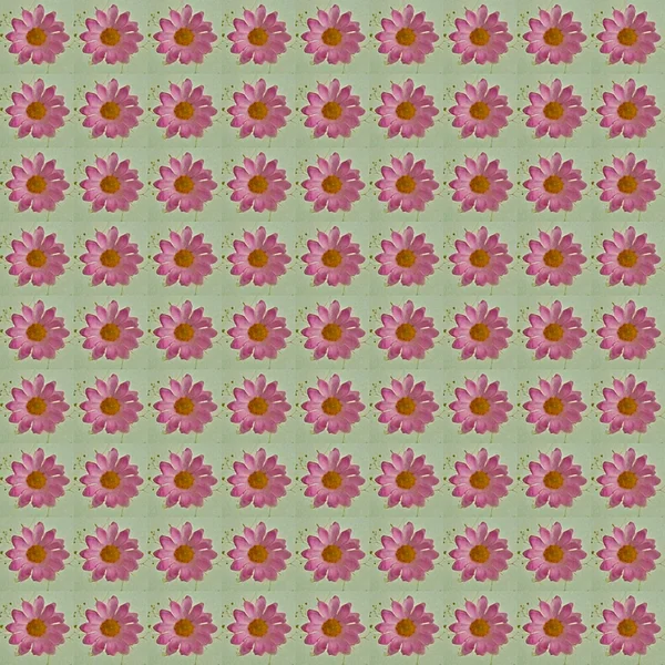 Rózsaszín virág mintás — Stock Fotó