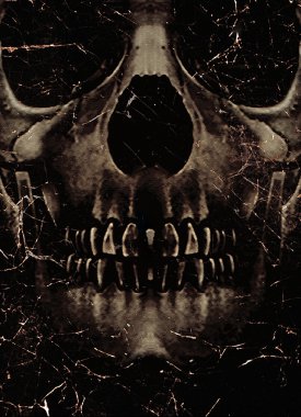 Skull Poster Background