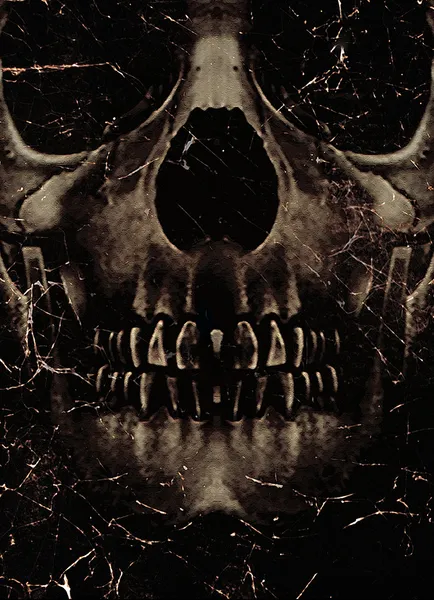 Skull Poster Background — Stock Photo, Image