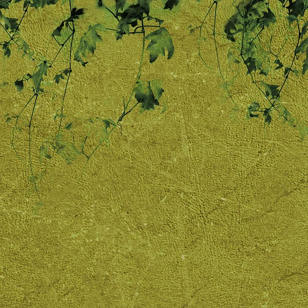 Plants Grunge Background — Stock Photo, Image