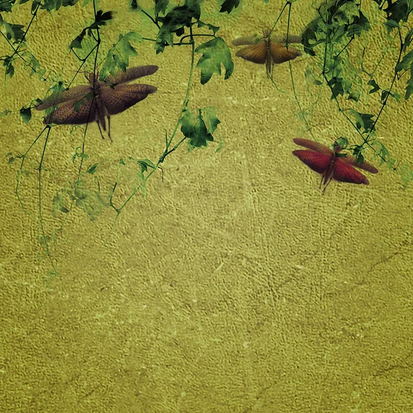 Växter och insekter bakgrund — Stockfoto