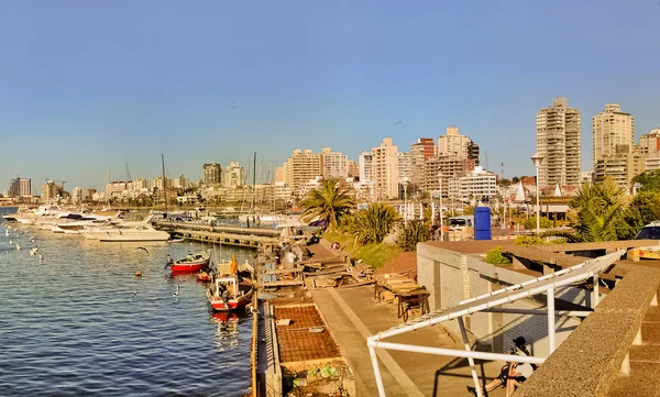 Punta del este liman görünüm