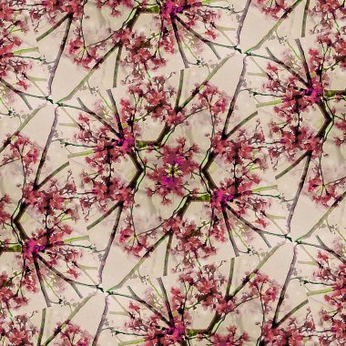 doğa geometrik desen