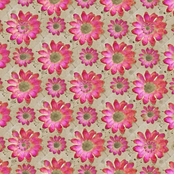 Kolorowy kwiatowy wzór — Zdjęcie stockowe