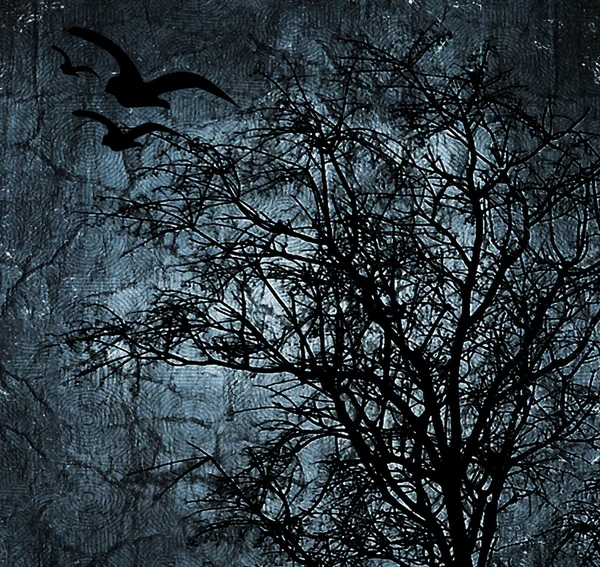 Fondo oscuro con árboles y aves —  Fotos de Stock