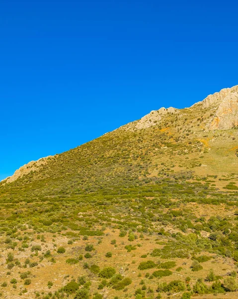 Dag Stenig Berg Landskap Scen Peloponnesos Zon Grekland — Stockfoto