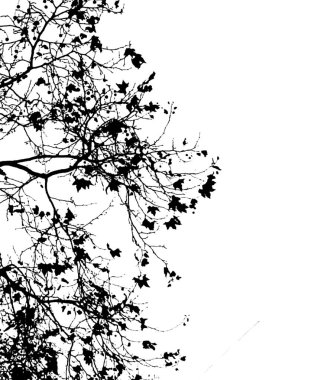 Siyah ve beyaz ağaç şekilli siluet beyaz arkaplanda izole edilmiş