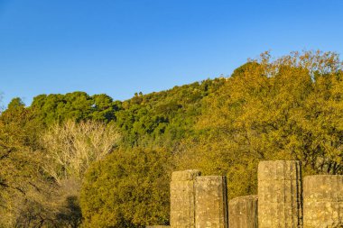 Antik Olimpiyat şehrinin kalıntılarında gündüz sahnesi, Yunan