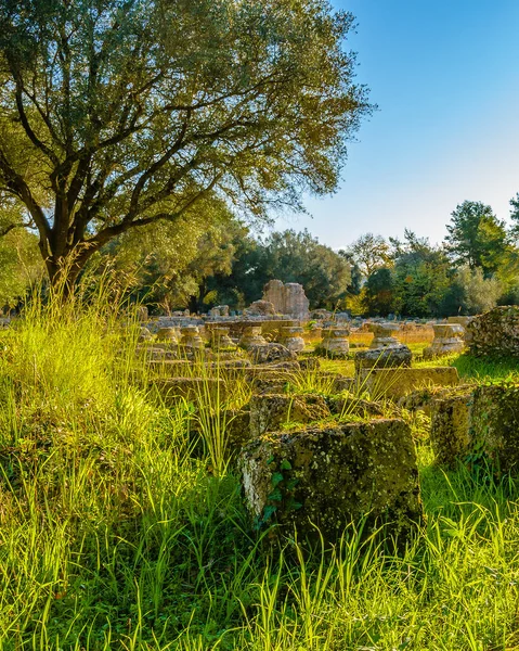 Scena Giorno Rovine Città Olympia Antica Grecia — Foto Stock