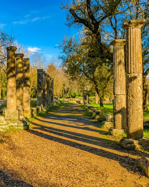 Day Scene Ruins Ancient Olympia City Greece — Stock Photo, Image