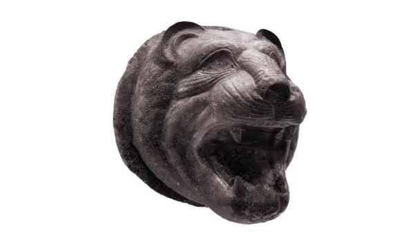 Antik Grek Öppen Mun Tigerskulptur Isolerad Loopas Animation — Stockvideo