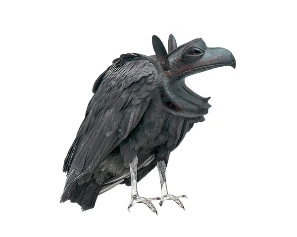 Seitenansicht Coragyps Atratus Schwarzer Vogel Mit Monsterkopf Vor Weißem Hintergrund — Stockfoto
