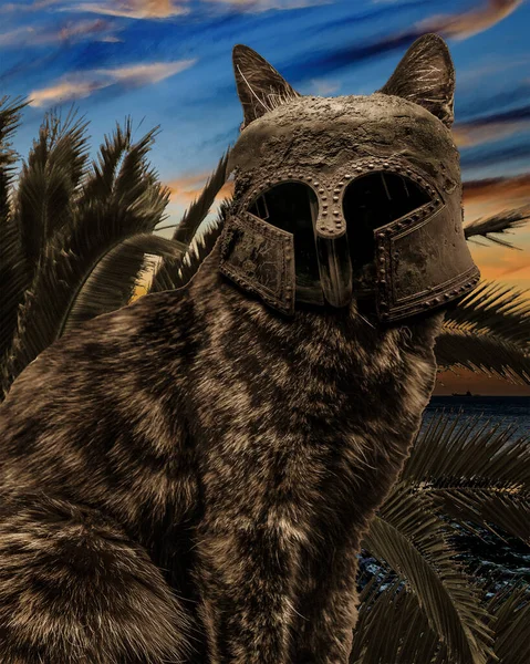 Ilustracja Collage Technika Brązowy Dorosły Kot Grecki Hoplite Kask Nad — Zdjęcie stockowe