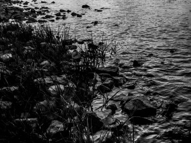 Siyah ve beyaz kayalık nehir detayları fotoğrafı.