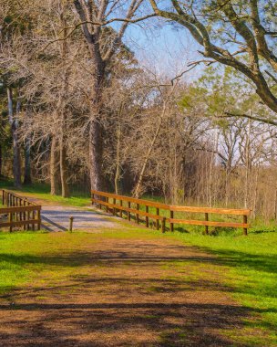 Grutas del Palacio 'daki güneşli bir gün sahnesi Flores, Uruguay' da bulunan eşsiz bir geopark.