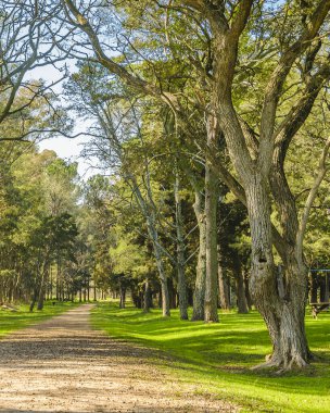 Grutas del Palacio 'daki güneşli bir gün sahnesi Flores, Uruguay' da bulunan eşsiz bir geopark.