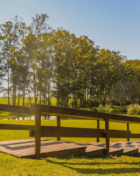 Słoneczna Scena Dnia Grutas Del Palacio Unikalny Geopark Położony Oddziale — Zdjęcie stockowe