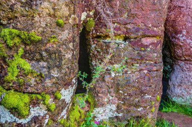 Grutas del Palacio 'daki büyük kolon kayalarını kapatın. Flores Bölümü, Uruguay' da bulunan eşsiz geopark.