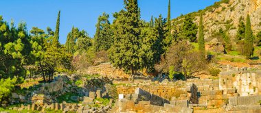 Delphi Sığınağı 'nda güneşli bir gün sahnesi, Phocis, Yunanistan