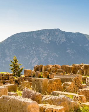Delphi Sığınağı 'nda güneşli bir gün sahnesi, Phocis, Yunanistan