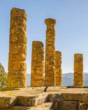 Delphi Sığınağı 'nda güneşli bir gün sahnesi, Phocis, Yunanistan