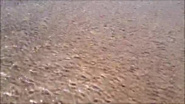 보이는 해변의 흐르고 — 비디오