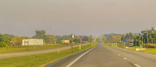 Květiny Uruguay August 2022 Den Venkovní Scény Venkovské Dálnici Flóry — Stock fotografie