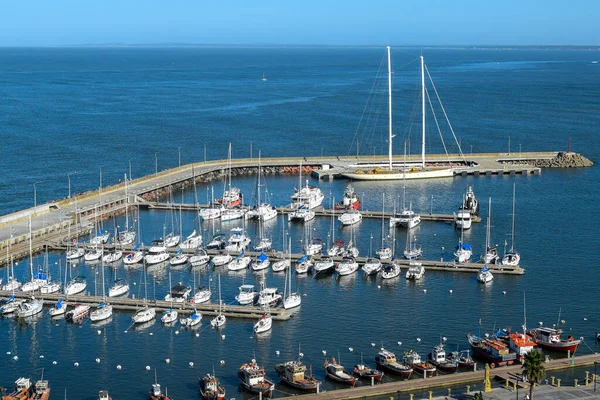 Luftaufnahme Landschaft Hafen Der Stadt Pirapolis Uruguay — Stockfoto