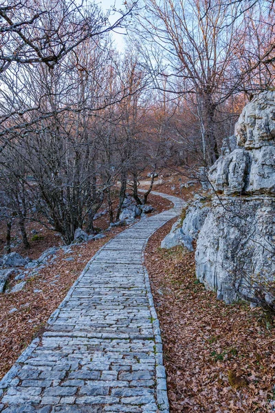 Escena Paisaje Día Famoso Parque Nacional Vikos Aoos Grecia — Foto de Stock