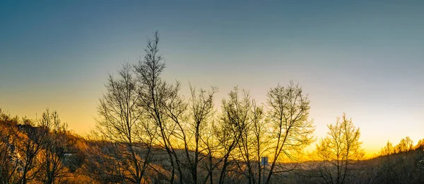 Tageslandschaft Berühmten Vikos Aoos Nationalpark Griechenland — Stockfoto