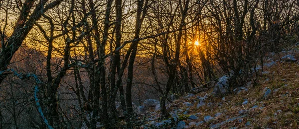 Dia Paisagem Cena Famoso Parque Nacional Vikos Aoos Grécia — Fotografia de Stock