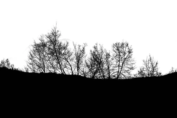 Träd Silhuett Ritning Landskap Isolerad Vit Bakgrund — Stockfoto