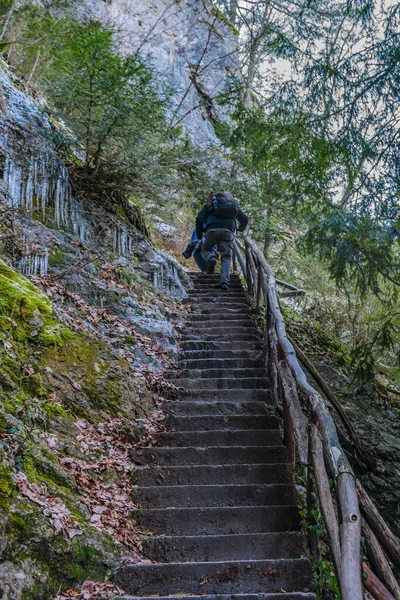Escalera Rústica Saco Tierra Forestal Parque Nacional Monte Olimpo Grecia — Foto de Stock