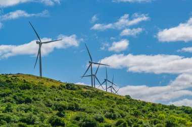 Kırsal bölgedeki yel değirmenleri, Maldonado Bölümü, Uruguay