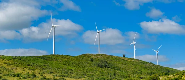 Kırsal bölgedeki yel değirmenleri, Maldonado Bölümü, Uruguay