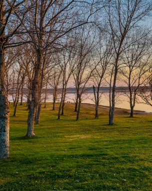 Andresito Park 'ın, Flores Bölümü' nün, Uruguay 'ın gündüz manzarası.