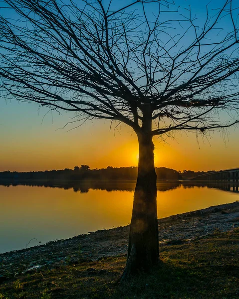 Day Landscape View Andresito Park Flores Department Uruguay — Foto Stock