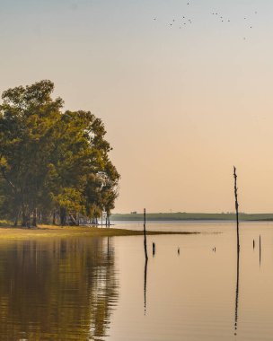 Bartolome Hidalgo Parkı 'ndaki güneşli gün manzarası Flores Bölümü, Uruguay