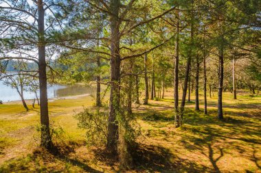 Bartolome Hidalgo Parkı 'ndaki güneşli gün manzarası Flores Bölümü, Uruguay